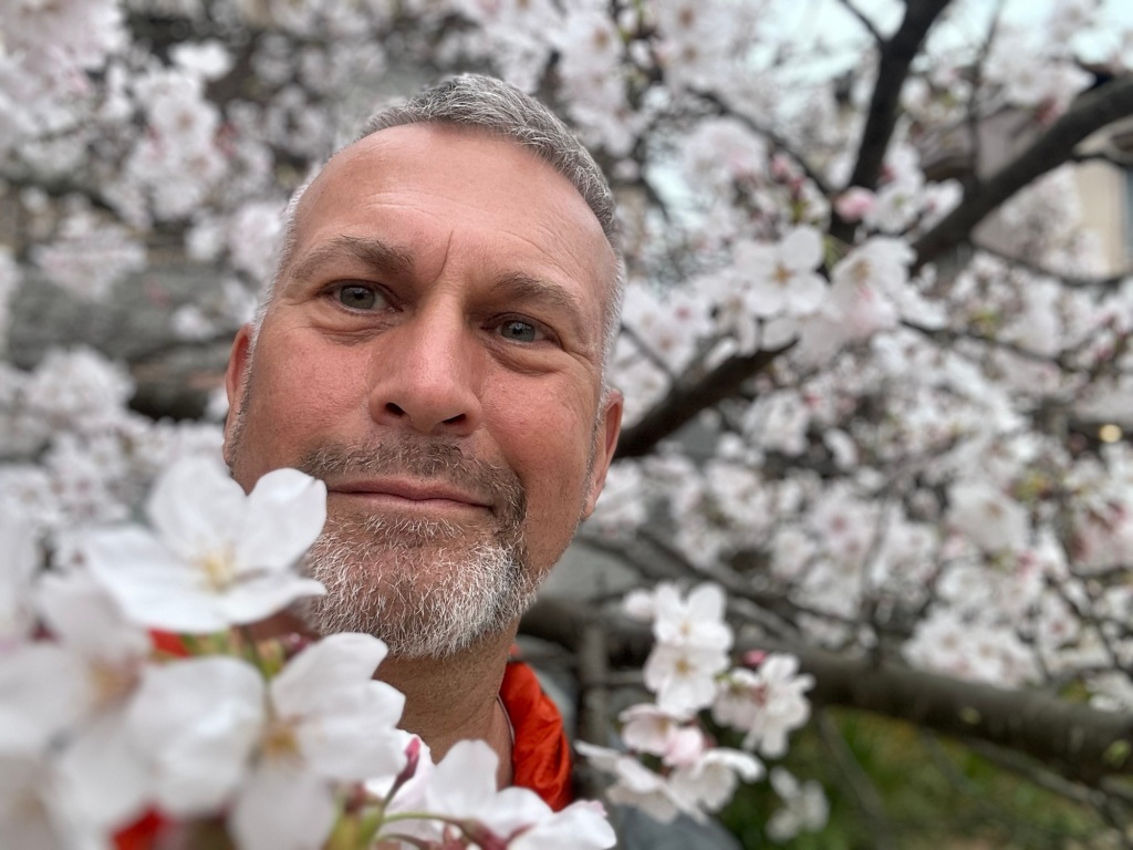 Sakura: Cherry Blossom Season